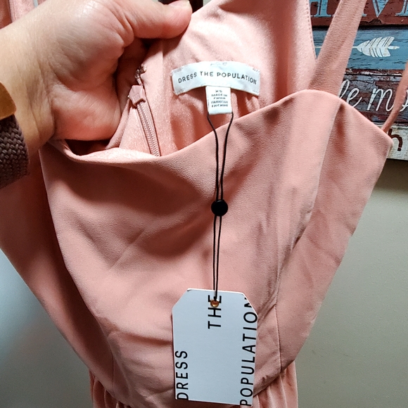 Dress the Population Blush Maxi Dress - Picture 5 of 6